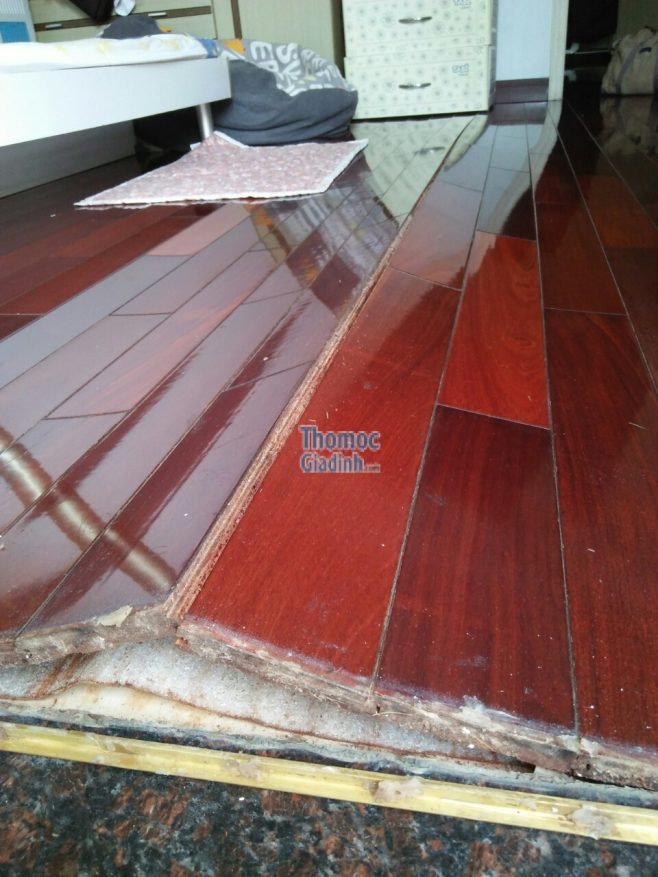 Sửa chữa sàn gỗ Mối Mọt,Phồng Rộp 0815664582 tại nhà