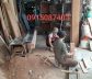 Thợ Gỗ Sửa Chữa Đóng Mới Đồ Mộc Nội Thất Tháo Lắp Giường Tủ 0915087403