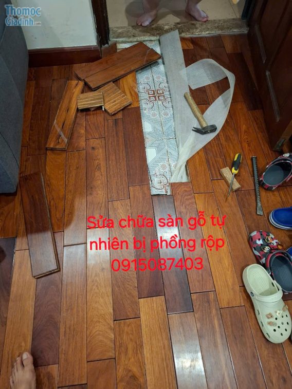 Sửa chữa sàn gỗ tự nhiên bị phồng rộp