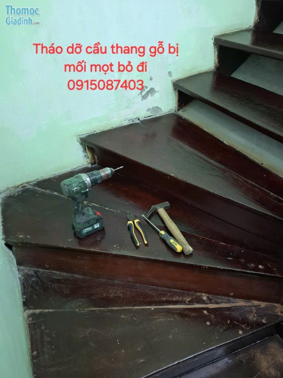 Sửa chữa thay mới tháo dỡ cầu thang gỗ bị mối mọt